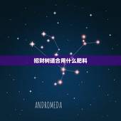 招财树适合用什么肥料，八方招财树用什么肥料