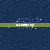 属牛和属猪合财吗，女猪男牛在一起好不好