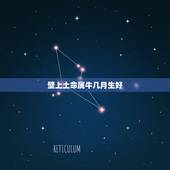 壁上土命属牛几月生好，壁上土适合什么月份生
