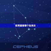 蛇男最宠哪个生肖女，属蛇的男人选择的老婆