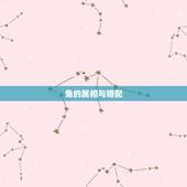 兔的属相与婚配，兔和什么生肖最配