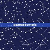 属兔的今年多大1999年，1999年8月29现在多大了