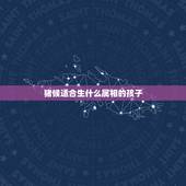 猪候适合生什么属相的孩子，猪和猴生什么属相好