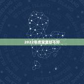 2022年虎宝宝好不好，2022年虎年是什么命
