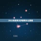 2022年虎年太岁都有什么属相，2022年犯太岁的五个生肖