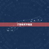 丁卯年天干地支，丁卯年是什么命