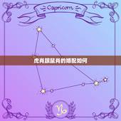 虎肖跟鼠肖的婚配如何，属鼠的生肖和属虎的生肖相配吗？