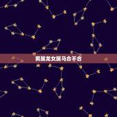 男属龙女属马合不合，生肖属马和男属龙合不合