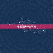 老鼠讨厌什么气味，放什么东西老鼠不敢来
