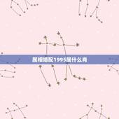 属相婚配1995属什么肖，1992年婚姻最配属相