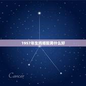 1957年生鸡婚配男什么好，男属鸡的与属什么相配好
