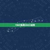 1963兔男2022运势，属兔的今年运气怎样？1963年出生的，男