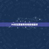 95年生属猪男找啥属相最好，女孩1995年属猪，找什么属相男孩好。