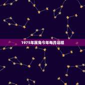 1975年属兔今年每月运程，1975年出生属兔的人今天运气如何