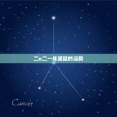 二o二一年属鼠的运势，6o年属鼠在2022 年运势如何