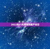 2022年11月男宝剖腹产吉日，2022年虎年哪个月份出生的宝宝更好