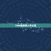 1986属虎男人什么命，虎1986年男人命运