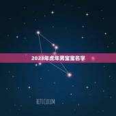 2023年虎年男宝宝名字 怎么样取一个好名字