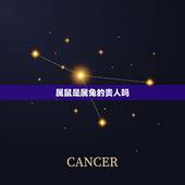 属鼠是属兔的贵人吗，75属兔一生有几次婚姻