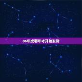 86年虎哪年才开始发财，属虎的人哪一年能发财