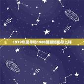 1979年属羊和1980属猴婚配怎么样，1979的属羊和1980属猴结