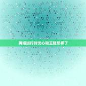再婚进行时沈心和王建怎样了，再婚进行时沈心相亲交通警察好了吗