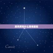 属狗男和什么属相最配，男属狗的更佳婚配属相