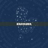 属兔的幸运颜色，1987年属兔的幸运数字和颜色