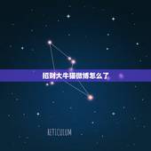 招财大牛猫微博怎么了，招财大牛猫说利弗莫尔证券是港股打新股市场占有率排