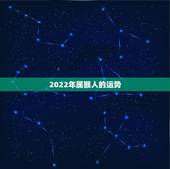 2022年属猴人的运势，80年属猴女2022年运势