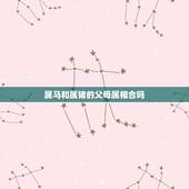 属马和属猪的父母属相合吗，属马跟属猪的和吗