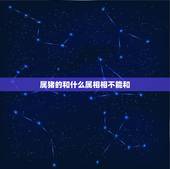 属猪的和什么属相相不能和，属猪的和什么属相最配