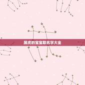 属虎的宝宝取名字大全，2022虎百年难遇