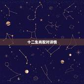 十二生肖配对详情，十二生肖配对的数字显示