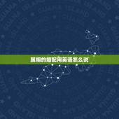 属相的婚配用英语怎么说，12属相用英语怎么说