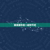 属龙跟牛在一起好不好，牛和龙合得来吗