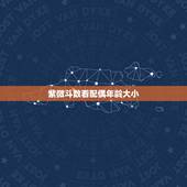 紫微斗数看配偶年龄大小，紫微斗数入门基础知识