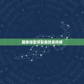 国家保密项目居然是传销，我一个朋友说是做国家隐形政策的。是传销？
