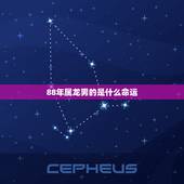 88年属龙男的是什么命运，88年属龙2022 年运势