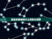 属鼠的婚姻和什么搭配比较好，属鼠的婚配对象