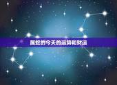 属蛇的今天的运势和财运，属牛今年财运如何
