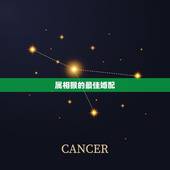 属相猴的最佳婚配，属猴的和什么属相最配 揭秘最佳婚配表