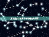 属虎的今年多少岁分别多少岁，属虎人今年几岁了？