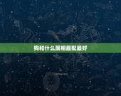 狗和什么属相最配最好，属狗的和什么属相最配