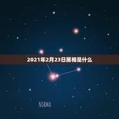 2021年2月23日属相是什么，十二生肖2021年运势及运程每月运程