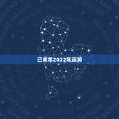 己末羊2022年运势