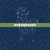 属虎男宝宝取名宜用字，属虎男宝宝取名字大全