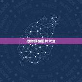 招财绿植图片大全，适合放在客厅财位的植物都有哪些
