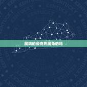 属鸡的会克死属兔的吗，属鸡的会克死属兔的吗