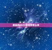 属鼠的2022年运势怎么样，2022年运势12生肖运势详解